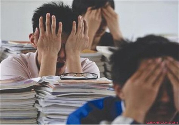 被偷改志愿落榜