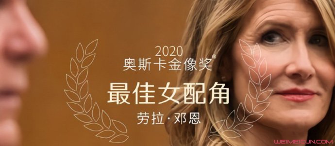 婚姻故事宣布改档 婚姻故事宣布改档