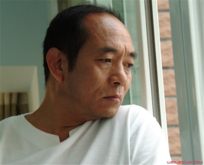 陶泽如演过哪些电视剧