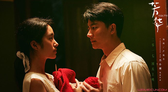 芳华是什么意思