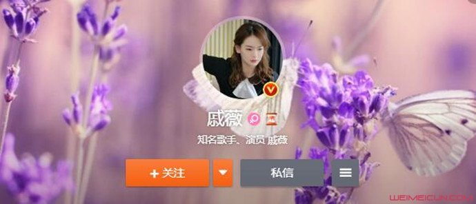 戚薇金瀚换情头