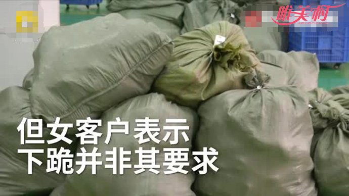 下跪道歉