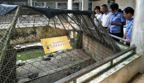 海口动物园成炼狱,动物园成炼狱,海口动物园,海口,动物园,炼狱 海口动物园成炼狱,动物园成炼狱,海口动物园,海口,动物园,炼狱
