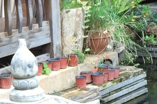 张居正和李太后有孩子 张居正的历史评价