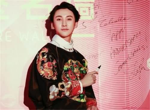高胜武整过容吗