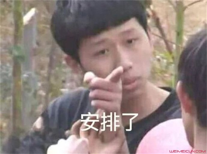 安排了