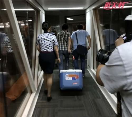 为救生命航班延迟