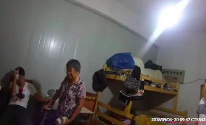 撞死1只鸡赔6000 撞死1只鸡赔6000