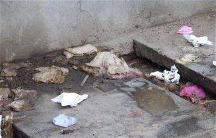 男童跌入茅厕溺亡 男童跌入茅厕溺亡