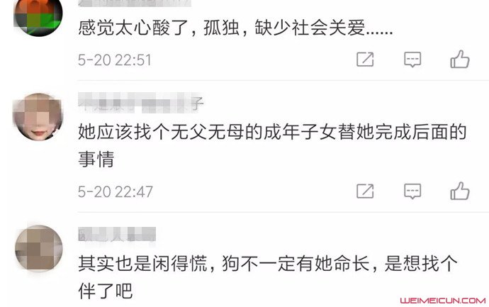 女子将遗产留给狗 女子将遗产留给狗
