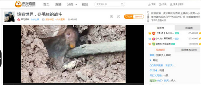万人围观捕杀动物 万人围观捕杀动物