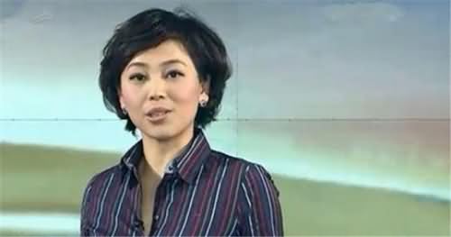 央视主持人劳春燕 央视主持人劳春燕