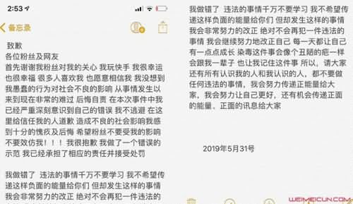 网红夏雪为吸毒道歉