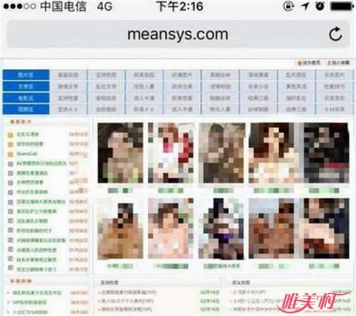 中学教材现黄网
