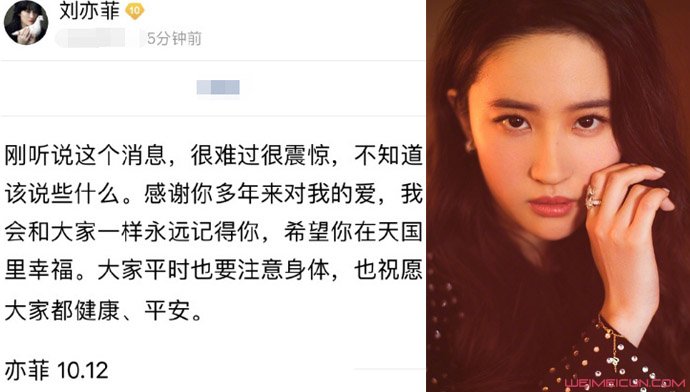刘亦菲发文悼念粉丝