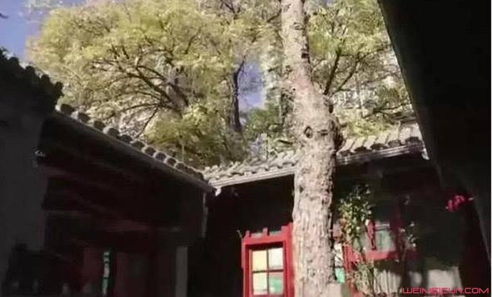 李晨四合院曝光