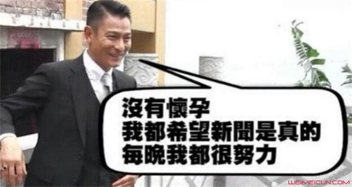 刘德华否认怀孕 刘德华否认怀孕