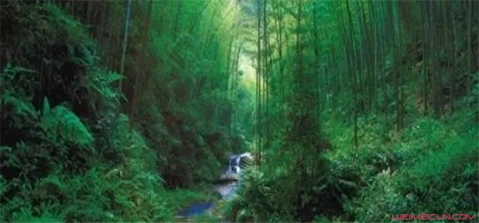 黑竹沟真有那么恐怖吗 黑竹沟真有那么恐怖吗