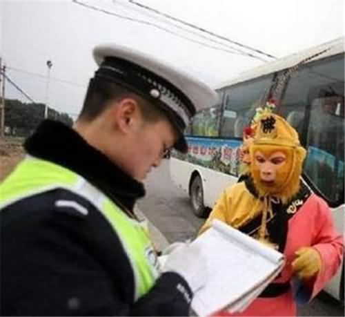 假猴王敛财遭揭发