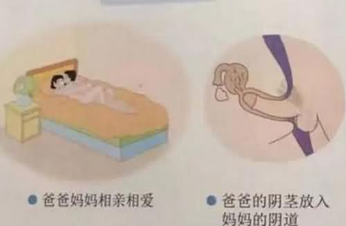 小学性读本引吐槽