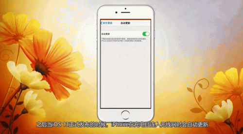 ios13在哪里更新(2)