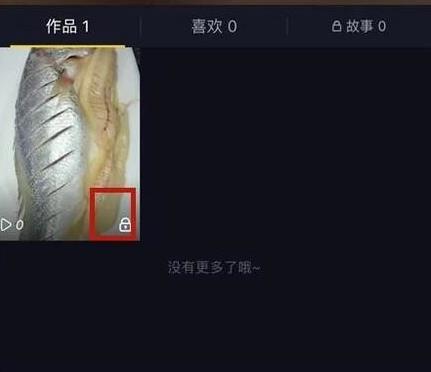 抖音设置隐私别人看得到吗(3) 抖音设置隐私别人看得到吗(3)