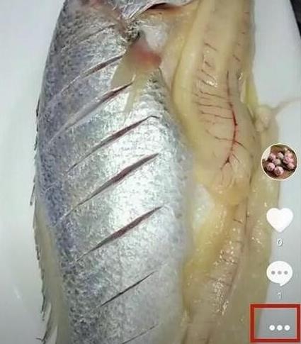 抖音设置隐私别人看得到吗(1) 抖音设置隐私别人看得到吗(1)