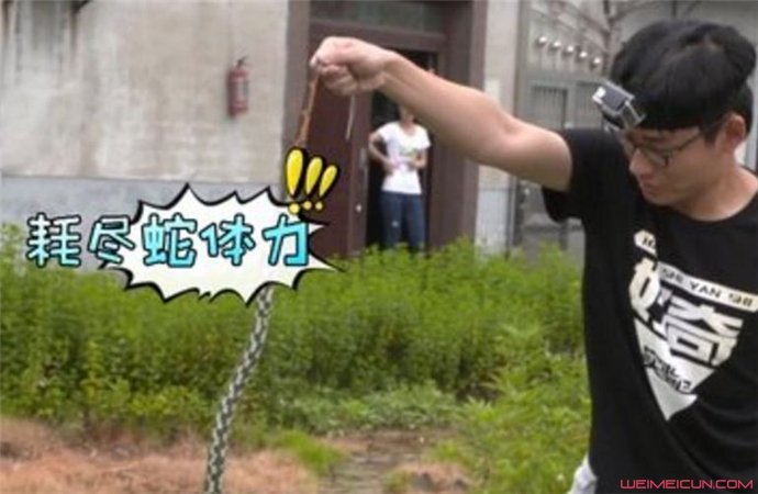 打蛇打七寸是什么意思 打蛇打七寸是什么意思