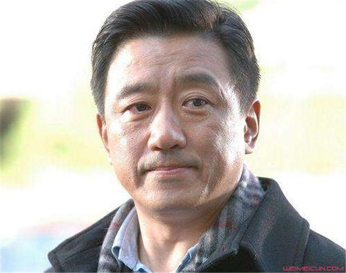 丁勇岱出道多久了
