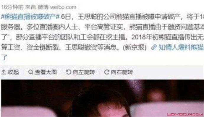 熊猫关闭服务器怎么回事