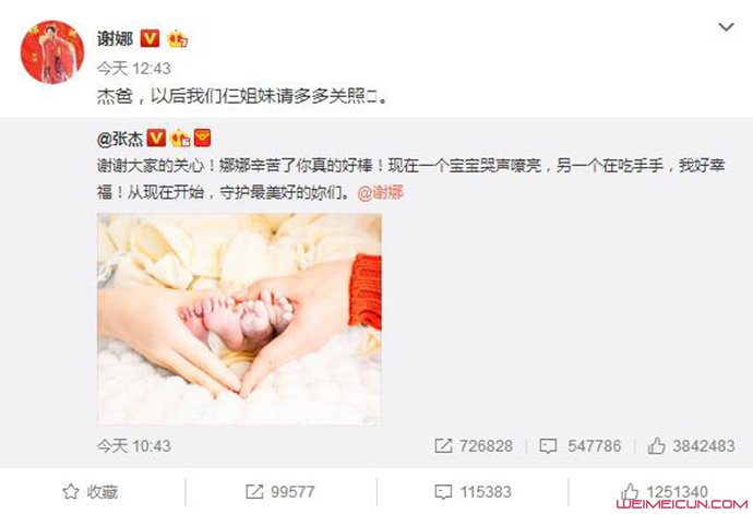 谢娜得双胞胎 谢娜得双胞胎