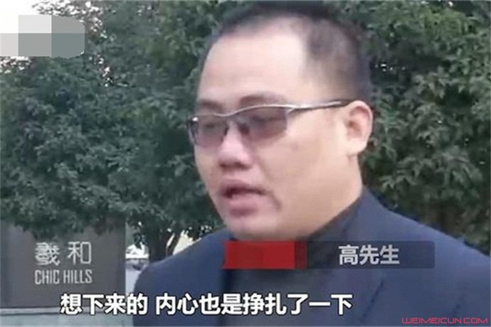 肇事逃逸真相是什么