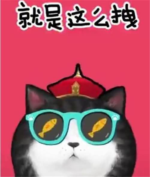 喵星人 喵星人
