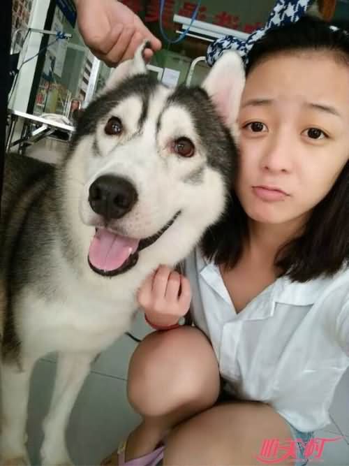 养狗的女人不能娶