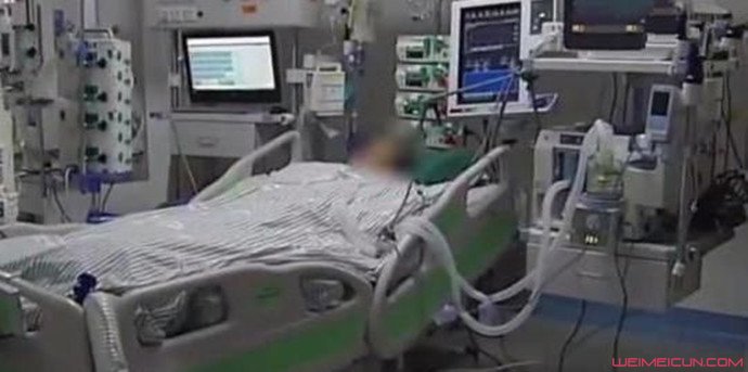 脑死亡后奇迹产子 脑死亡后奇迹产子