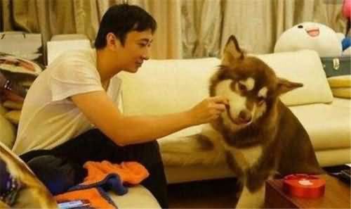 王校长王思聪 王校长王思聪