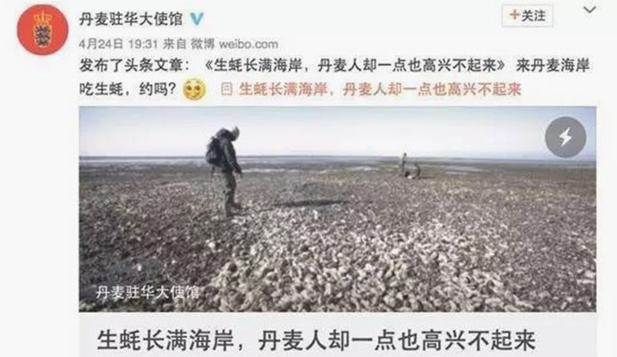 华人去挖丹麦生蚝