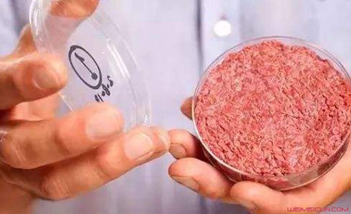 人造肉上美国餐 人造肉上美国餐