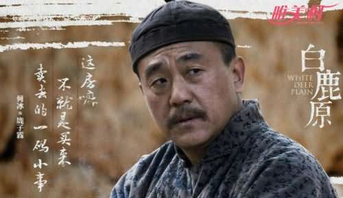 白鹿原,白鹿原结局,白鹿原结局人物结局,白鹿原各个人物的结局