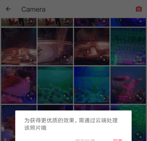 照片变成卡通头像软件(4)