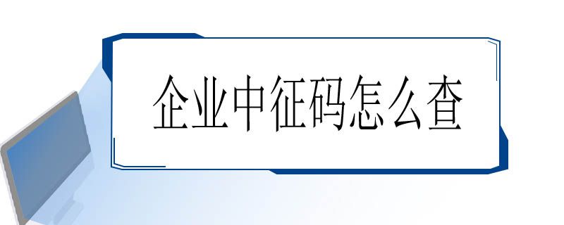 企业中征码怎么查