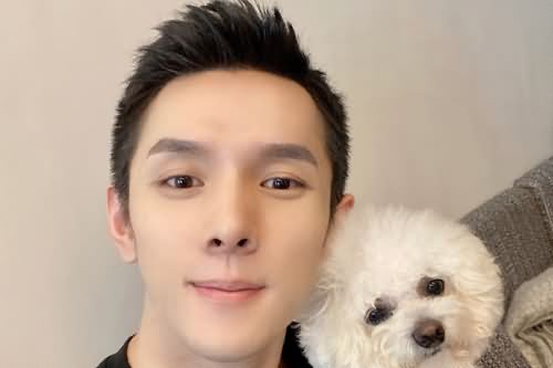 李佳琦做鼻炎手术直播将停播一周是怎么回事