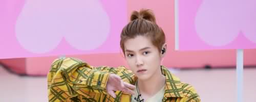 鹿晗在exo是什么担当
