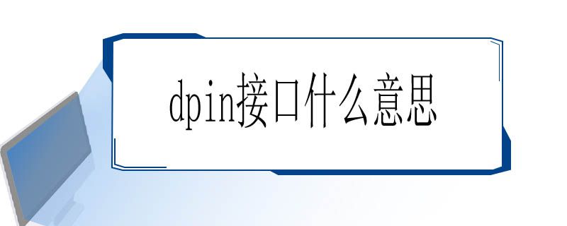 dpin接口什么意思