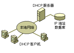 dhcp是什么意思3