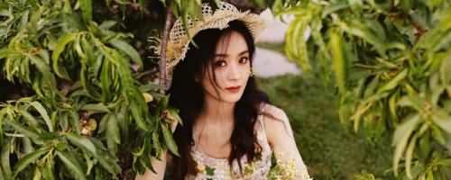 赵丽颖应援色是什么颜色?