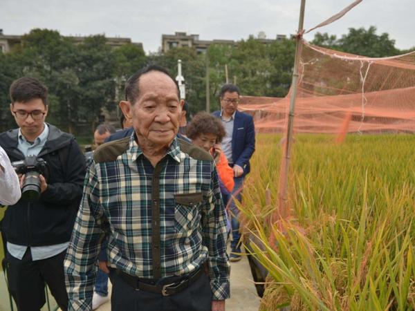 袁隆平经典名言语录 让人类摆脱饥荒，让天下人都吃饱饭