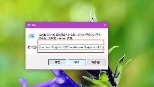 输入命令