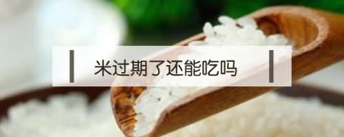 米过期了还能吃吗 米过期了还能吃吗