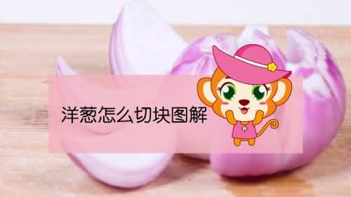 洋葱怎么切块图解 洋葱怎么切块图解